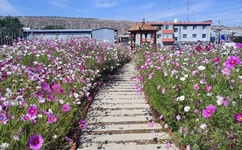 没带罩子让捏了一节课怎么办韩剧